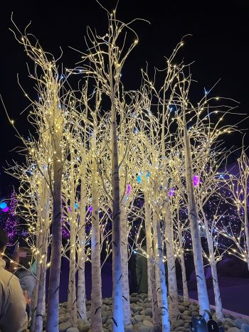 2023 WoH Botanical Gardens Event