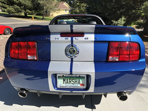COLORADO SHELBY CLUB